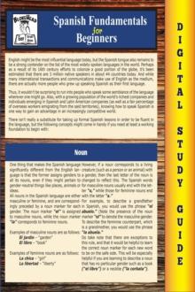 Spanish Fundamentals ( Blokehead Easy Study Guide)