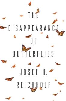 The Disappearance of Butterflies