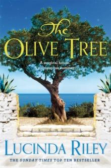 The Olive Tree : The Bestselling Story of Secrets and Love Under the Cyprus Sun