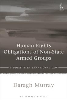 Human Rights Obligations of Non-State Armed Groups