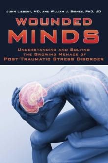 Wounded Minds : Understanding and Solving the Growing Menace of Post-Traumatic Stress Disorder