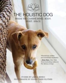 The Holistic Dog : Inside the Canine Mind, Body, Spirit, Space