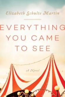 Everything You Came to See : A Novel