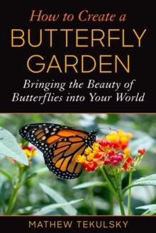 How to Create a Butterfly Garden : Bringing the Beauty of Butterflies into Your World