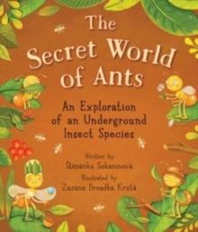 The Secret World of Ants : An Exploration of an Underground Insect Species