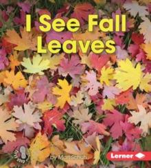 I See Fall Leaves