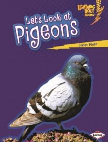 Let's Look at Pigeons