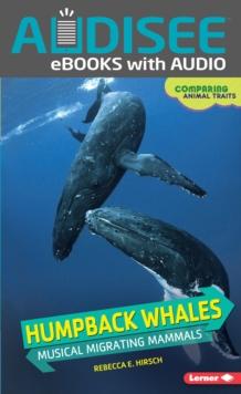 Humpback Whales : Musical Migrating Mammals