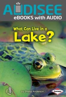 What Can Live in a Lake?