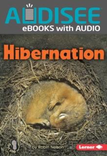 Hibernation