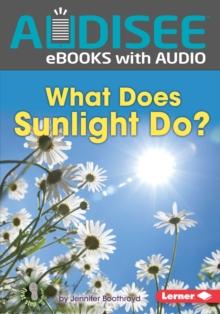 What Does Sunlight Do?