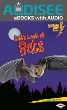 Let's Look at Bats