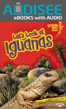 Let's Look at Iguanas