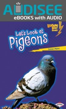 Let's Look at Pigeons