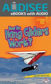 How Do Hang Gliders Work?