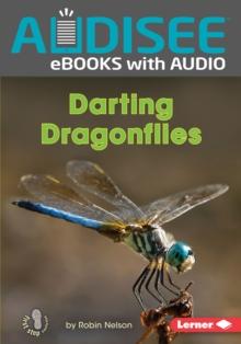 Darting Dragonflies