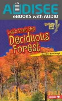 Let's Visit the Deciduous Forest