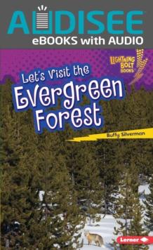 Let's Visit the Evergreen Forest