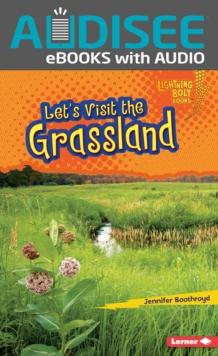 Let's Visit the Grassland