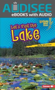 Let's Visit the Lake