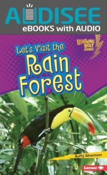 Let's Visit the Rain Forest