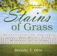 Stains of Grass : Reflections on Everyday Life, One Word, Five Minutes at a Time