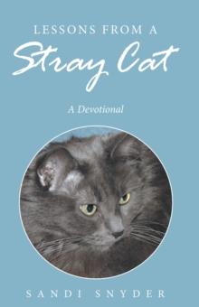 Lessons from a Stray Cat : A Devotional