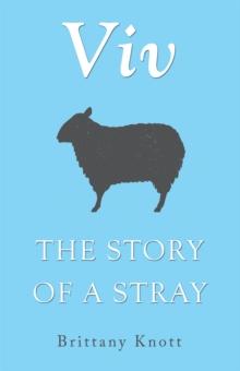 Viv : The Story of a Stray