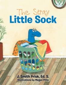 The Stray Little Sock