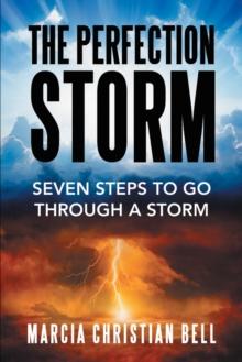 The Perfection Storm : Seven Steps to Go Through a Storm