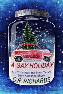 Gay Holiday: Six Christmas and New Year's Sexy Romance Shorts