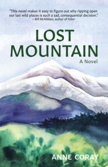 Lost Mountain : A Novel