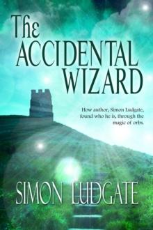 The Accidental Wizard