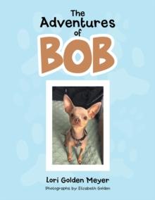 The Adventures of Bob