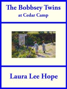 The Bobbsey Twins at Cedar Camp