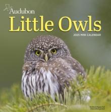 Audubon Little Owls Mini Wall Calendar 2025 : A Year of Fluffy and Round Owls