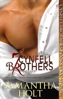 Cynfell Brothers Books 2 - 4