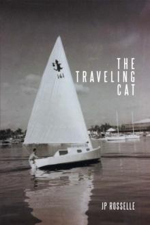 The Traveling Cat