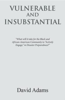 Vulnerable and Insubstantial : What Will It Take?