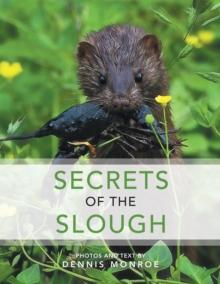 Secrets of the Slough