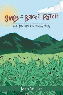 Gnats in the 'Bacce Patch : And Other Tales from Dumplin' Valley