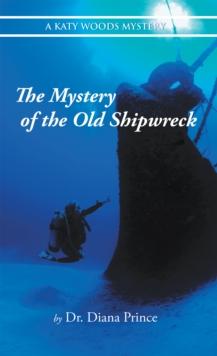 The Mystery of the Old Shipwreck