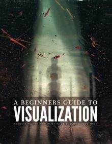 A Beginners Guide To Visualization