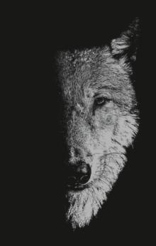 In the company of wolves : Werewolves, wolves and wild children