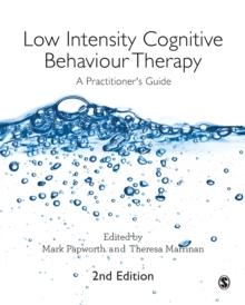 Low Intensity Cognitive Behaviour Therapy : A Practitioner's Guide