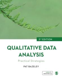 Qualitative Data Analysis : Practical Strategies