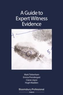 A Guide to Expert Witness Evidence