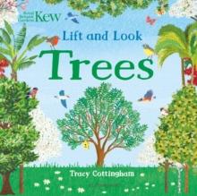 Kew: Lift and Look Trees