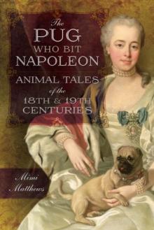 The Pug Who Bit Napoleon : Animal Tales of the 18th & 19th Centuries