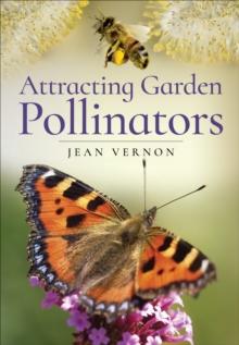 Attracting Garden Pollinators